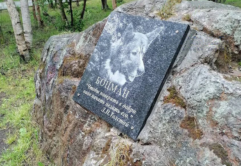 Память о верном друге: Мурманск создает памятный знак дворовому псу боцману